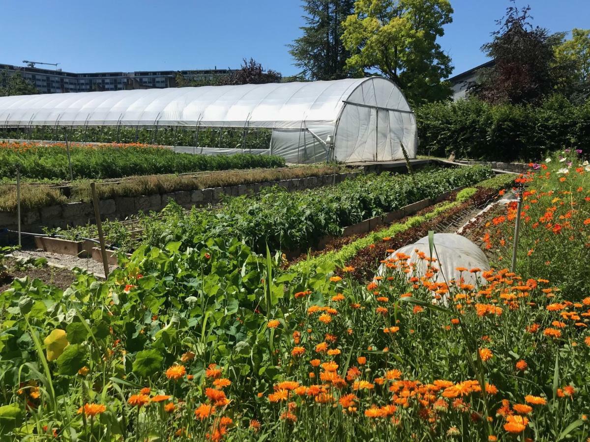 ホテル La Ferme Du Lignon Vernier エクステリア 写真